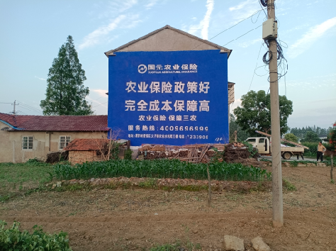 丹阳墙体广告的优劣势你知道吗？